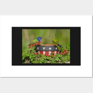 Painted Bunting Birds Pair Posters and Art